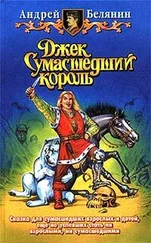 Андрей Белянин - Джек на востоке