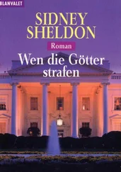 Sidney Sheldon - Wen die Götter strafen