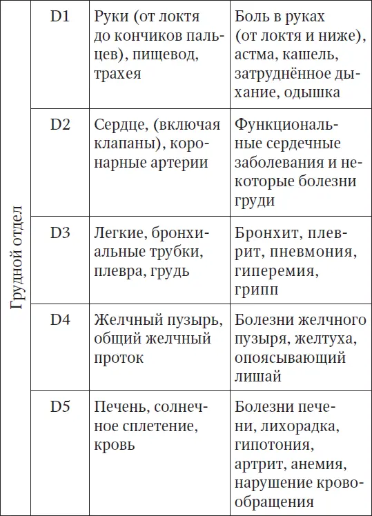 Латинскому обозначению букв соответствует С шейный отдел D гру - фото 3