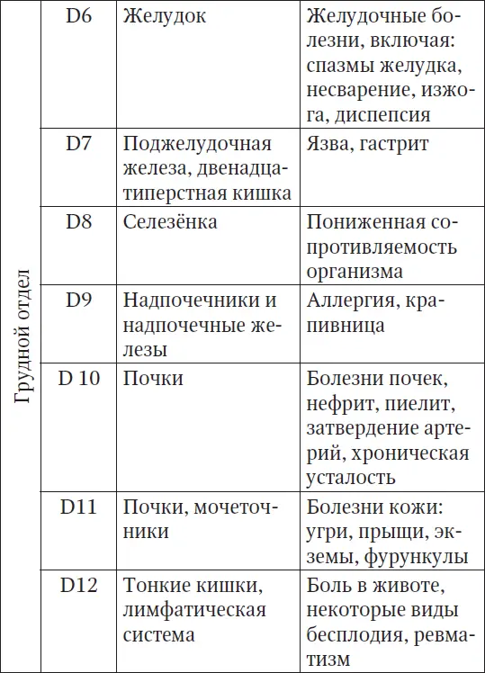 Латинскому обозначению букв соответствует С шейный отдел D грудной отдел - фото 4