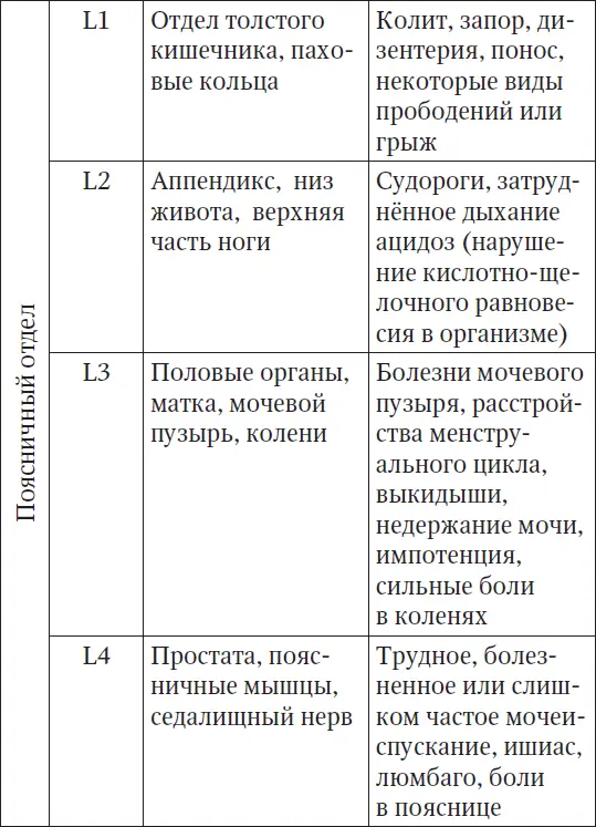 Латинскому обозначению букв соответствует С шейный отдел D грудной отдел - фото 5