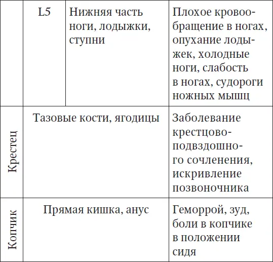 Латинскому обозначению букв соответствует С шейный отдел D грудной отдел - фото 6