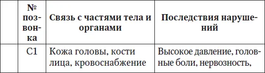 Ваш здоровый позвоночник - фото 1
