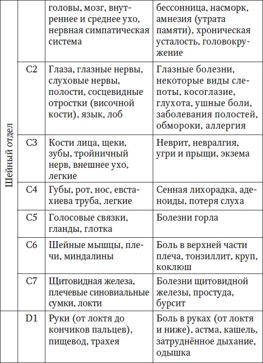 Ваш здоровый позвоночник - фото 2