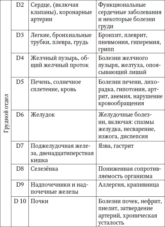 Латинскому обозначению букв соответствует С шейный отдел D грудной отдел - фото 3