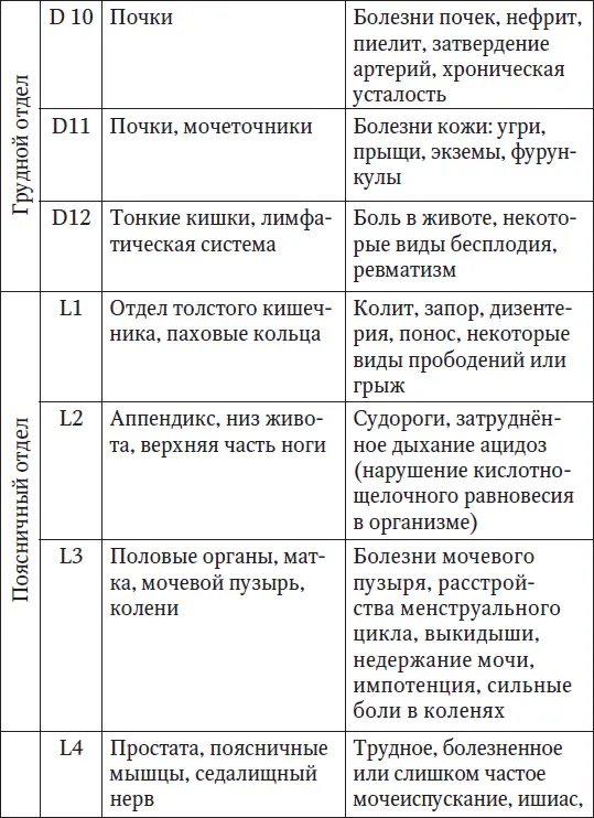 Латинскому обозначению букв соответствует С шейный отдел D грудной отдел - фото 4