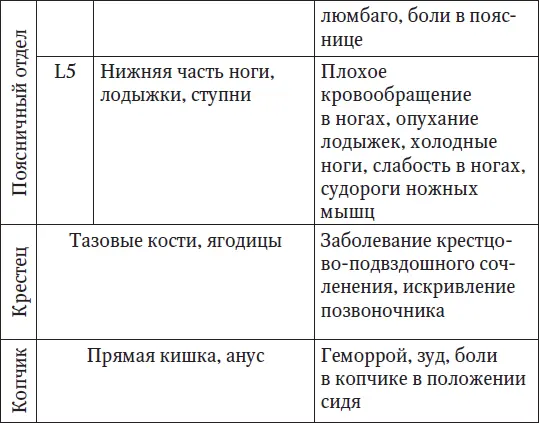 Латинскому обозначению букв соответствует С шейный отдел D грудной отдел - фото 5