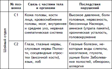 Латинскому обозначению букв соответствует С шейный отдел D гру - фото 5