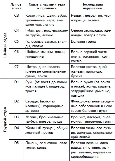 Латинскому обозначению букв соответствует С шейный отдел D грудной отдел - фото 6