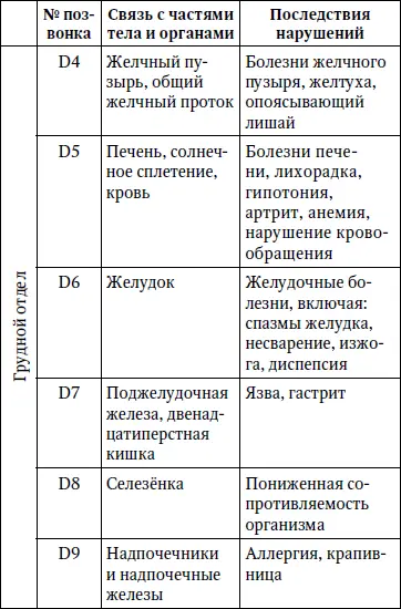 Латинскому обозначению букв соответствует С шейный отдел D грудной отдел - фото 3