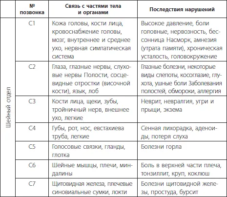 Проанализировав данные таблицы можно сделать вывод что позвоночник является - фото 4