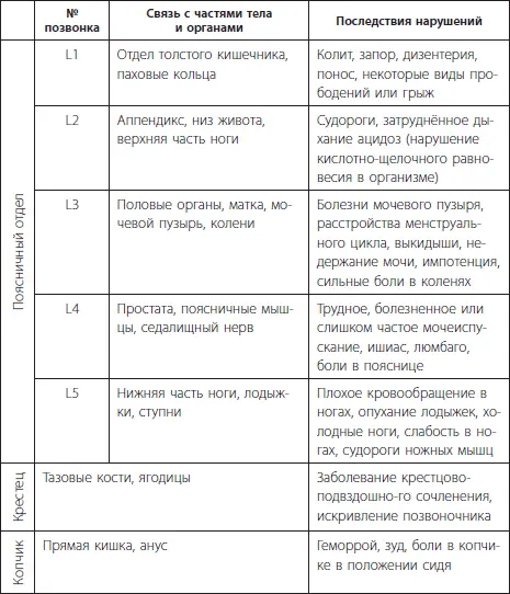 Проанализировав данные таблицы можно сделать вывод что позвоночник является - фото 6