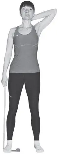 Считаем повторы 8 в одну сторону 8 в другую Это будет 1 подход Надо - фото 158