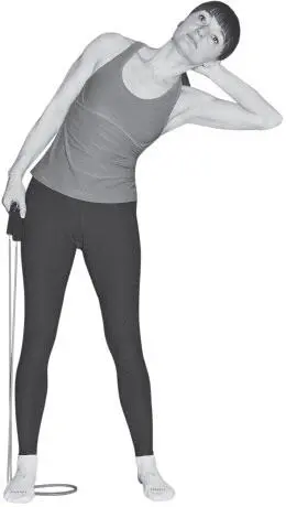 Считаем повторы 8 в одну сторону 8 в другую Это будет 1 подход Надо - фото 159