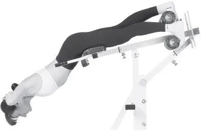 Считаем повторы 8 раз поднимаемся это 1 подход Надо выполнить 3 подхода - фото 227