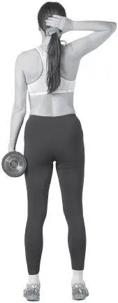 Считаем повторы 8 наклонов в одну сторону 8 в другую Это будет 1 подход - фото 231