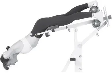 Считаем повторы 8 в одну сторону 8 в другую Это будет 1 подход Надо - фото 236