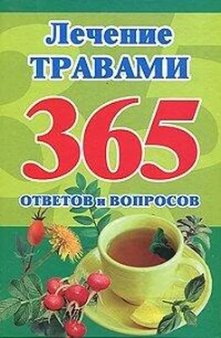 Мария Кановская Лечение травами. 365 ответов и вопросов обложка книги