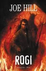 Joe Hill - Rogi