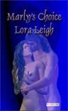 Lora Leigh Surrender обложка книги