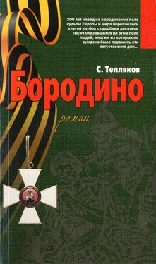 Сергей Тепляков Бородино обложка книги