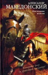 Неля Гульчук - Александр Македонский. Наследник власти