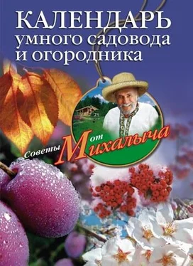 Николай Звонарев Календарь умного садовода и огородника обложка книги