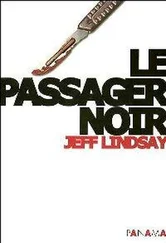 Jeff Lindsay - Le passager noir