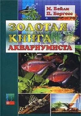 М. Бейли Золотая книга аквариумиста обложка книги