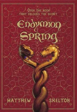 Matthew Skelton Endymion Spring обложка книги