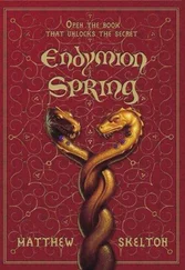 Matthew Skelton - Endymion Spring