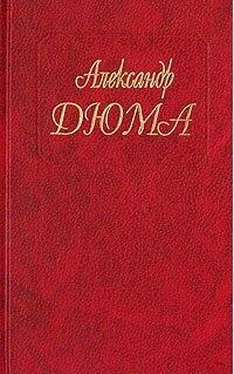 Александр Дюма Госпожа де Шамбле обложка книги