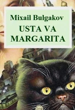 Mixail Bulgakov Usta va Margarita обложка книги