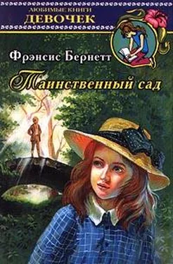 Фрэнсис Бёрнетт Таинственный сад обложка книги