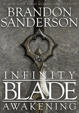 Brandon Sanderson Infinity Blade: Awakening обложка книги