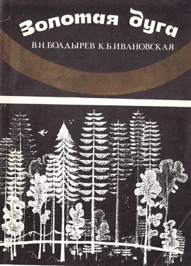 Виктор Болдырев Золотая Дуга обложка книги