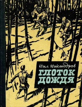 Нил Никандров Глоток дождя обложка книги
