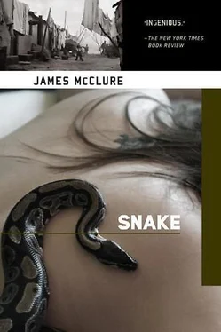 James Mcclure Snake обложка книги