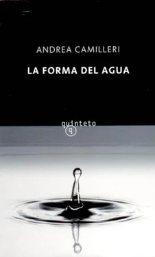 Andrea Camilleri La Forma Del Agua обложка книги