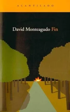 David Monteagudo Fin обложка книги