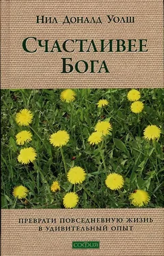 Нил Уолш Счастливее Бога: Превратим обычную жизнь в необыкновенное приключение обложка книги