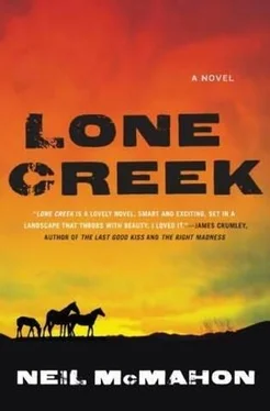 Neil McMahon Lone Creek обложка книги