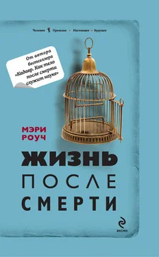 Мэри Роуч Жизнь после смерти обложка книги