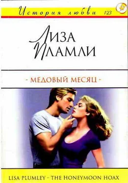 Лиза Пламли Медовый месяц обложка книги