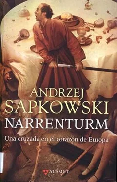 Andrzej Sapkowski Narrenturm обложка книги