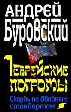 Андрей Буровский Еврейские погромы. Скорбь по двойным стандартам обложка книги