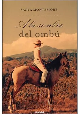 Santa Montefiore A la sombra del ombú обложка книги