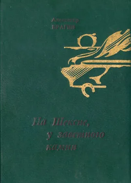 Александр Брагин Семейный круг обложка книги