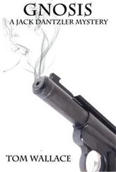 Tom Wallace - Gnosis