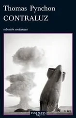 Thomas Pynchon - Contraluz